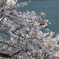 わが家の活動を記録する大福帳